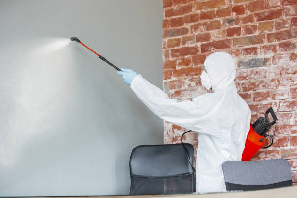 Best Real Estate Mold Inspection  in Glasgow, OR