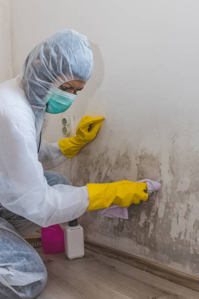 Biohazard Mold Removal in Glasgow, OR
