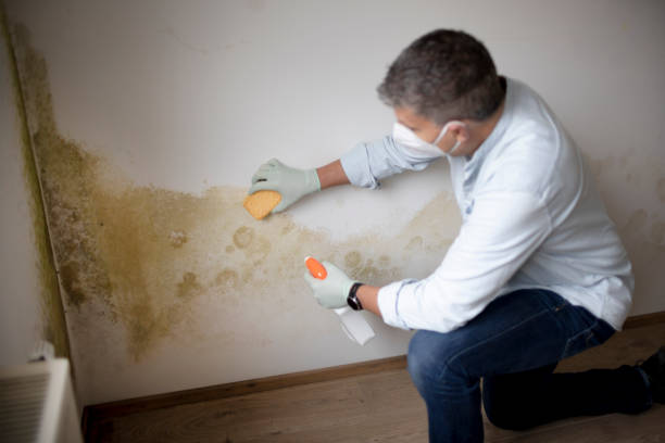 Best Mold Removal for HVAC Installations  in Glasgow, OR