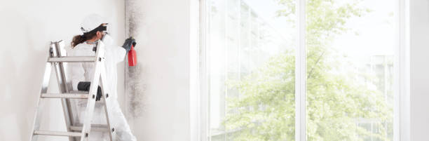 Best Environmental Consulting for Mold Prevention  in Glasgow, OR